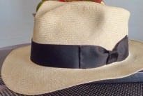 The Panama Hat