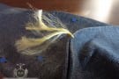 Bresciani_socks_11