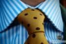 Curved Cutaway Collar
