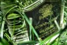 Creed Royal Oud – Persian Palace Meets Indian Agarwood Creed Royal Oud – Persian Palace Meets Indian Agarwood