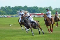 Polo For Beginners