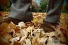 Buck Skin Chukka Boots St. Crispin