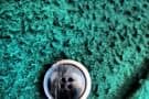 Casentino Fabric Texture and Horn Buttons