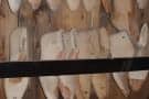 Wooden Bespoke Shoe Lasts