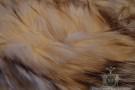 Arctic Fox Fur Collar