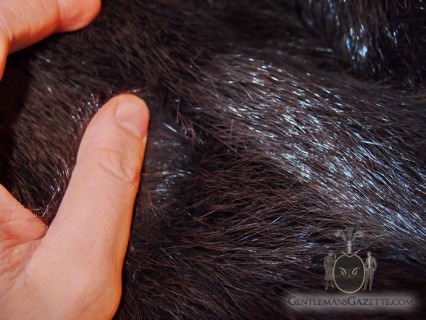 Beaver Under Hair