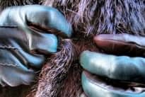 Fur Coats For Men Fur Coats For Men