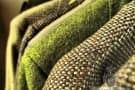 Tweed Sports Coats