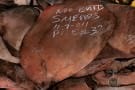 1000 Butts Smeared and Dated