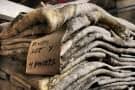 Salted Horsehides
