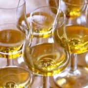 Scotch Whisky Primer for Beginners