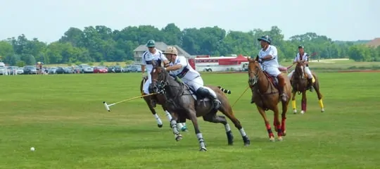 A beginner's guide to polo: How a chukka can get you hooked