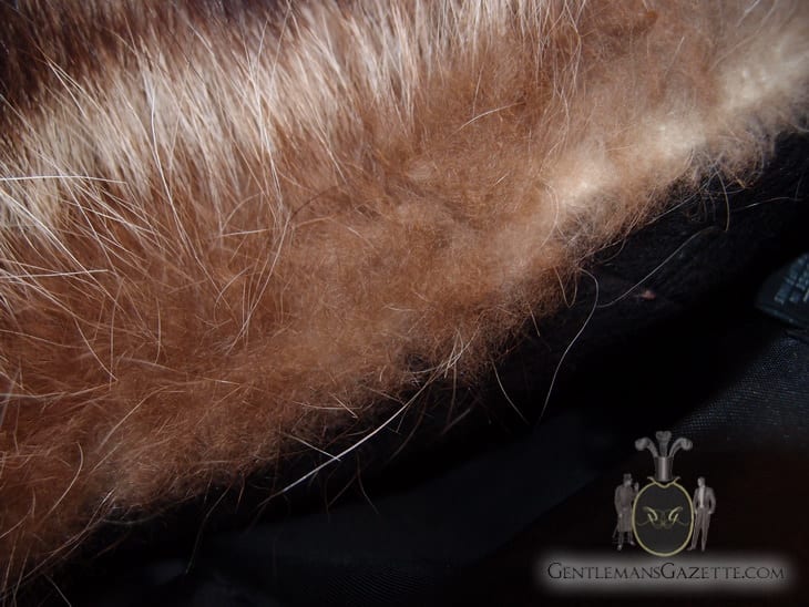 Missing Guard Hair - Fur Is Not In Good Shape