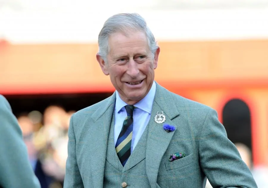 Prince Charles Mixing Patterns in an Understated Manner