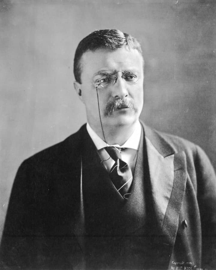 Theodore Roosevelt in frock coat with striped necktie and turndown collar at Oath of Office, September 14, 1901