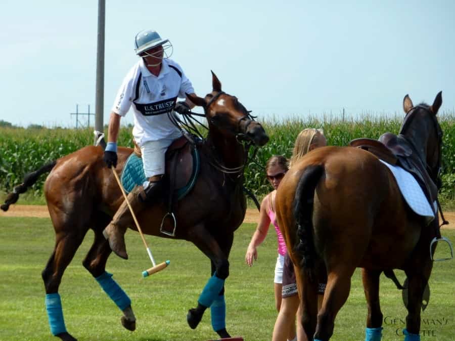 Just About To Switch Horses Just about to switch horses