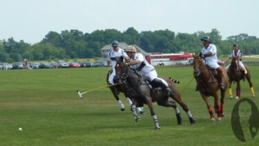 Polo Play - Introduction to an Ancient Sport
