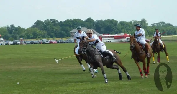 Polo Play Introduction to an Ancient Sport