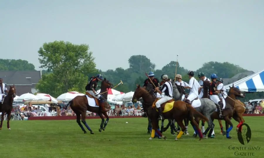 Polo Players in Action