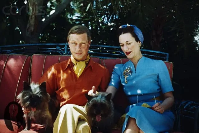 Duke and Duchess of Windsor with Dogs September 1941, Miami, Florida, USA