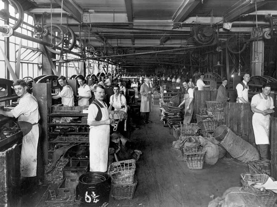 The 'rough stuff' [soling] department in the 1920s. The Crockett & Jones factory is fundamentally little changed since then