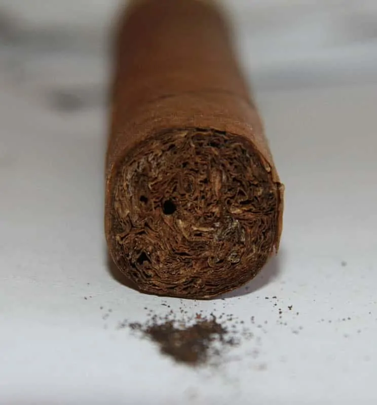 Beetle Hole in a Cigar