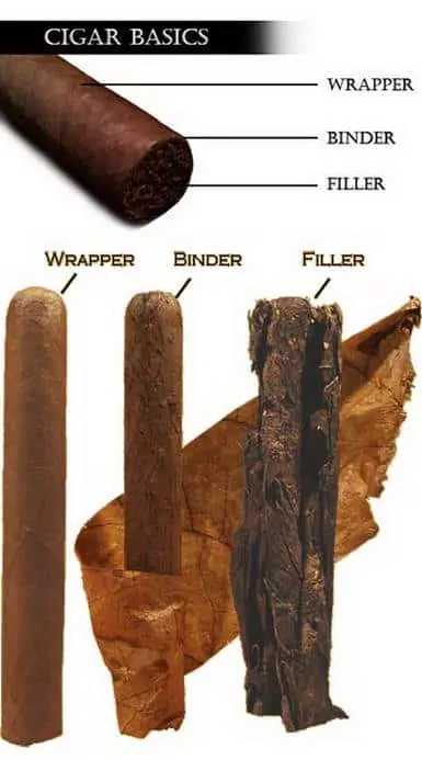 Cigar - Wrapper, Binder & Filler