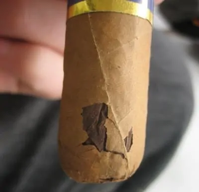 Dried cigar