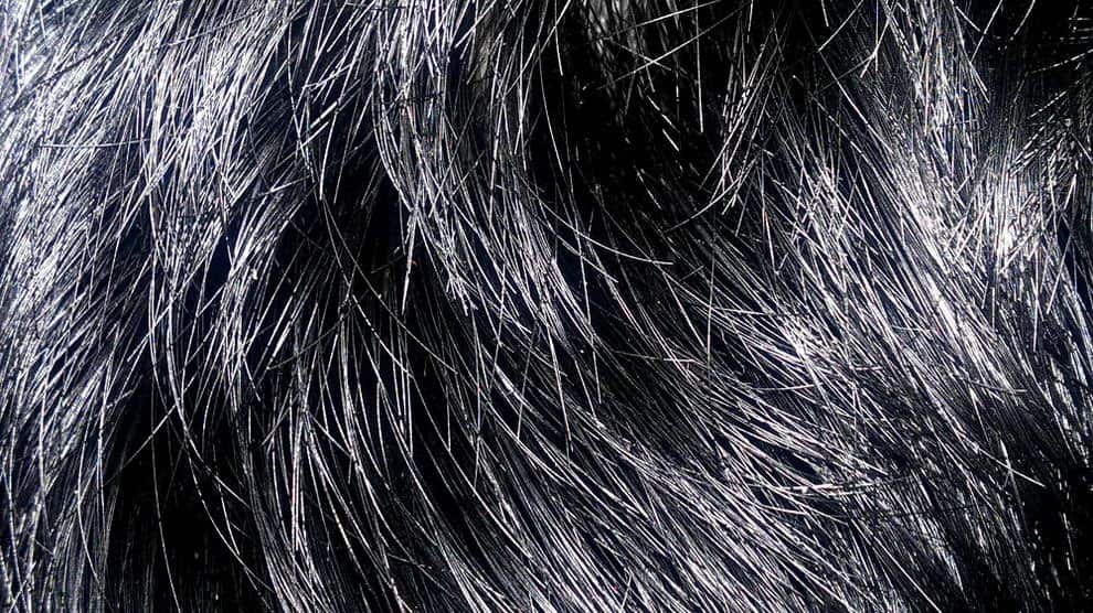Best Hair Products For Men &amp; More — Gentleman�s Gazette