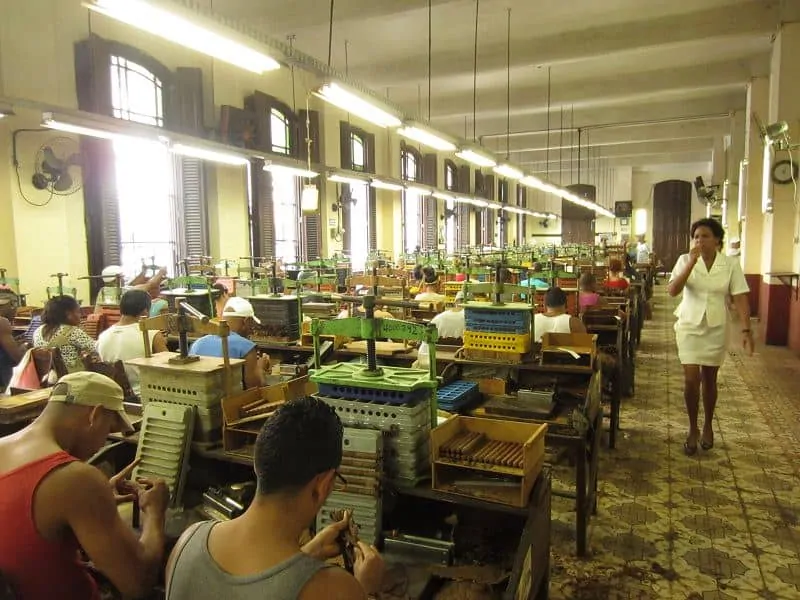 The main rolling room at the H. Upmann factory in Havana