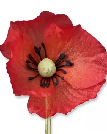 Red Silk Poppy Boutonniere Remembrance Day Flower by Fort Belvedere