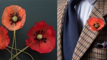 The Remembrance Poppy