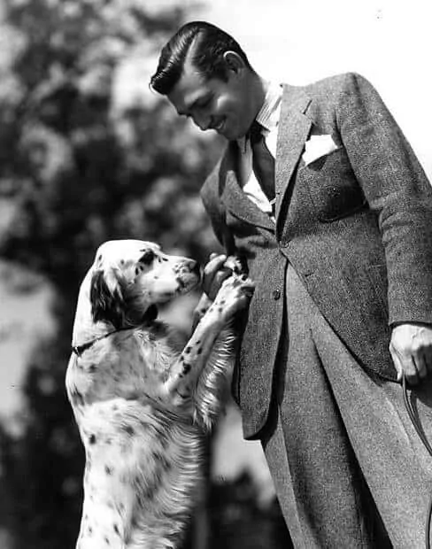 Clark Gable with Dalmatian and high rise trousers