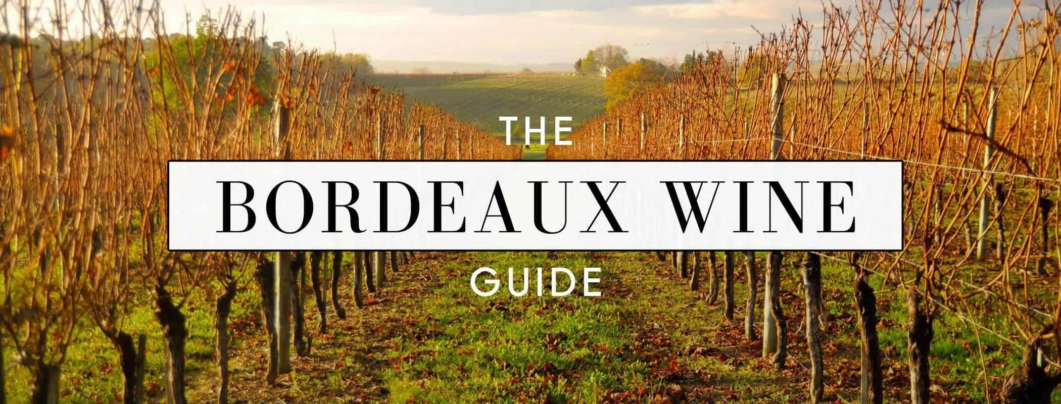 The Bordeaux Wine Guide