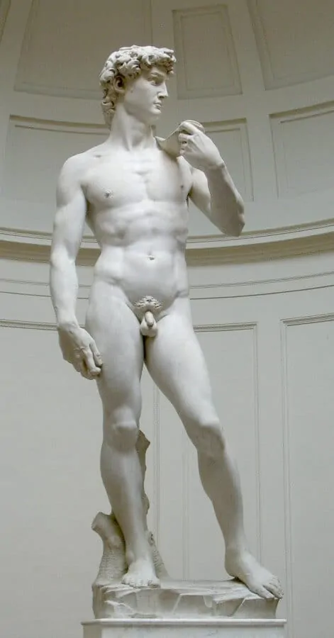 The erotic David by Michelangelo