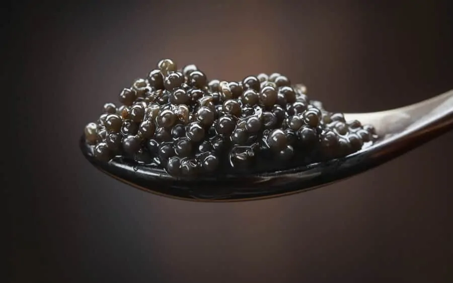 Beluga Caviar on a mother of pearl caviar spoon