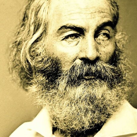 A photograph of Walt Whitman author and poet