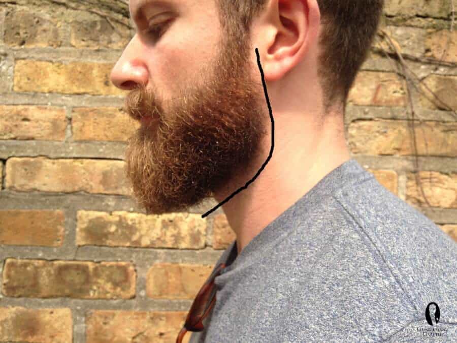 beard trimmer with 1 inch guard