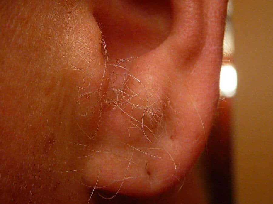 Keep ear hair trimmed tightly