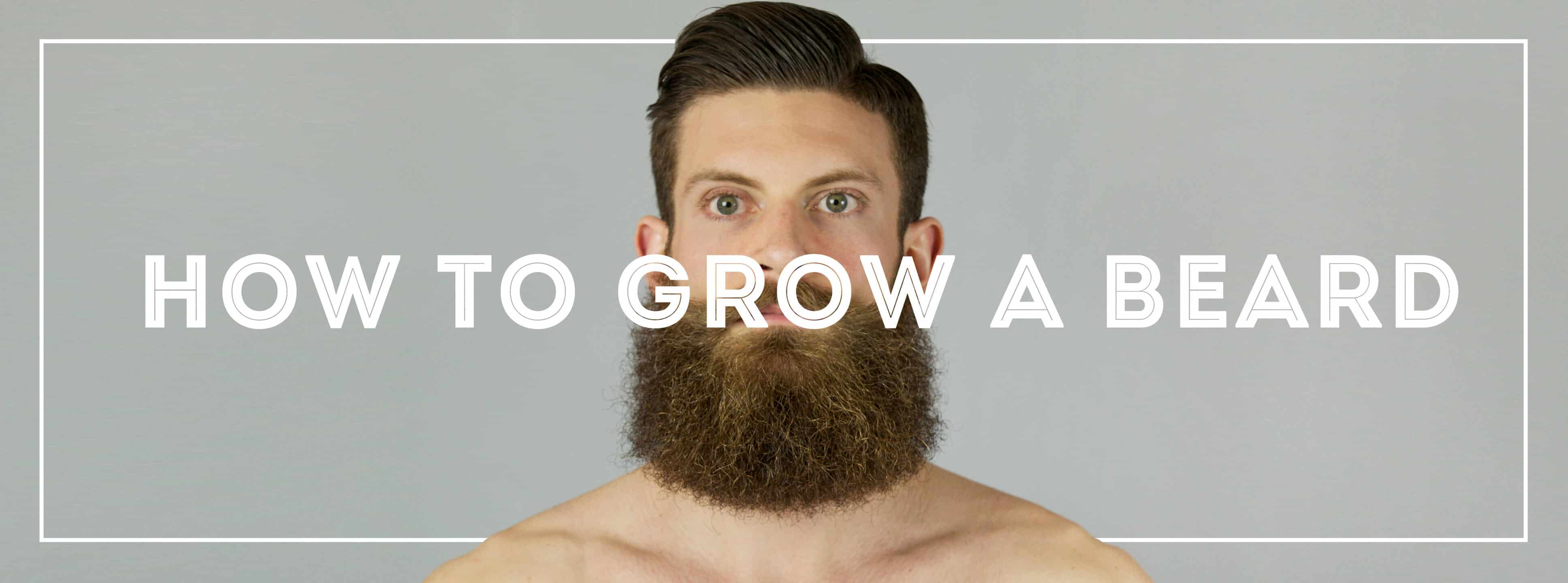 how to grow a beard