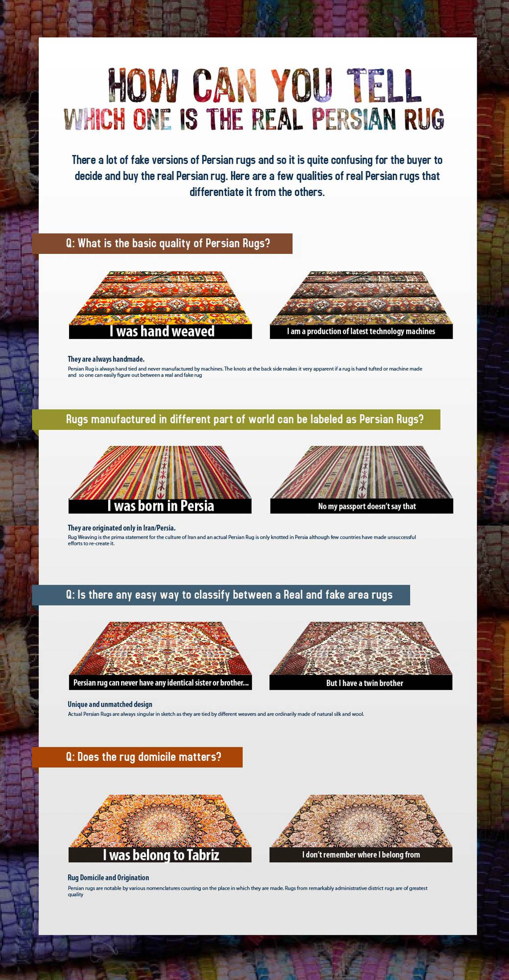 The Oriental Rug Guide