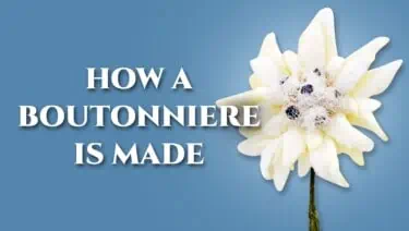 Edelweiss Boutonniere Buttonhole Flower