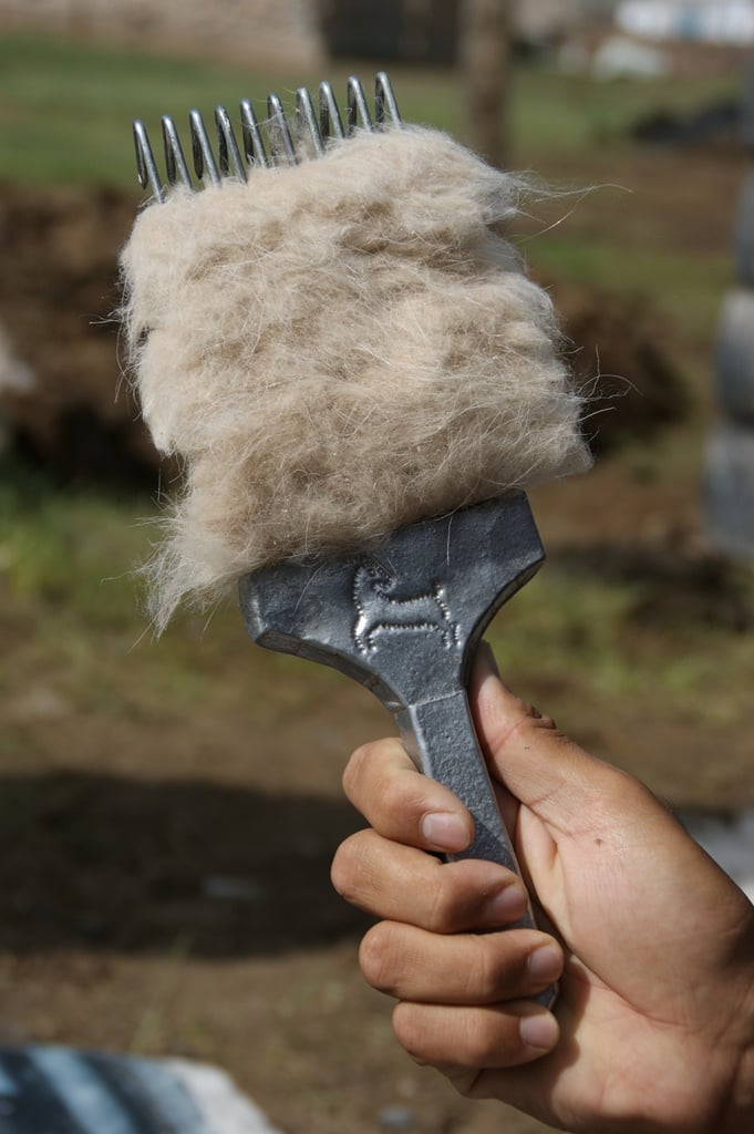 Combed under hair cashmere fibers