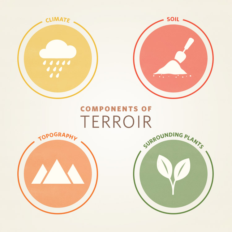 Components of terroir