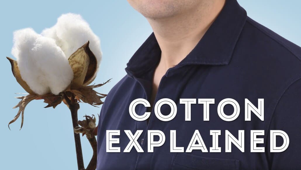 The Ultimate Guide To Cotton: Normal Cotton vs. Giza Cotton vs. Supima  Cotton Suiting & Shirting Fabrics - The Libas Store