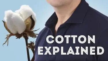 cotton explained