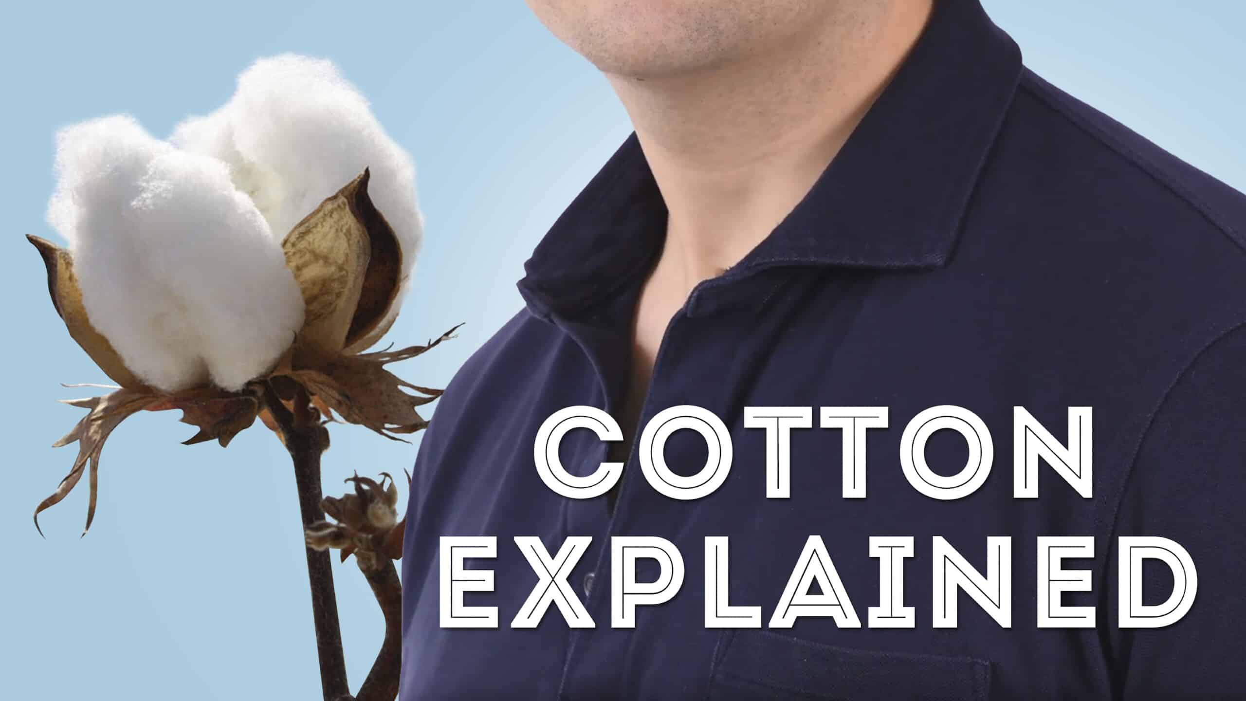 5 facts about cotton planting - AustralianFarmers