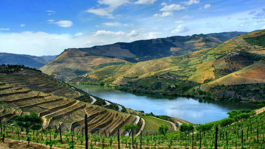 The banks of Douro River and its vineyards in terraces