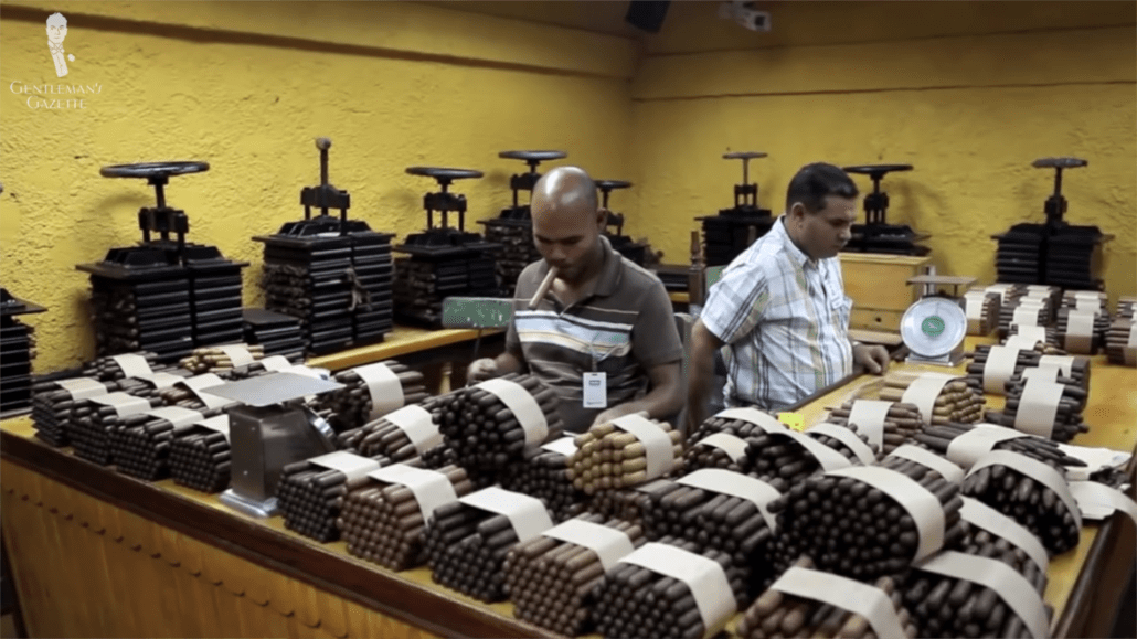 Cuban cigar makers