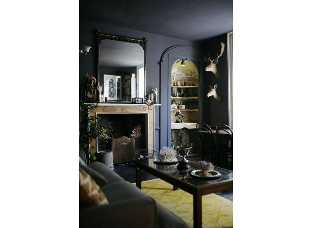 Taxidermy for Decor